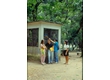 eq0001_063 - Grupo de alunos conversando em frente ao viveiro das araras, c.1980. Acervo Núcleo de Memória.