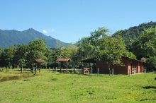 Vista geral do terreno, com algumas das casas de apoio. Fotografia feita pela Profa. Rejan Rodrigues Guedes-Bruni.