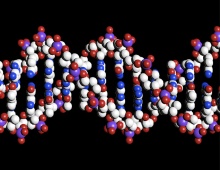 Representação da estrutura em dupla hélice do DNA