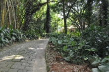 Entrada do terreno da Estrada Santa Marinha.