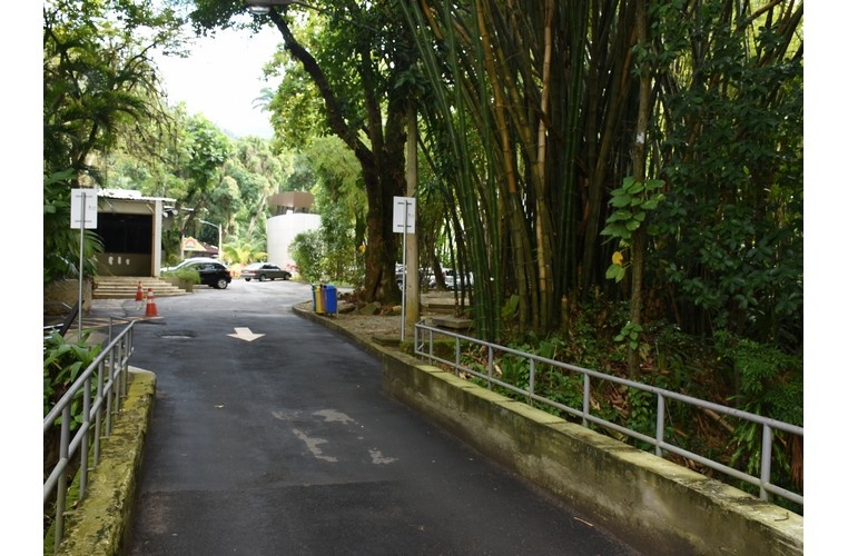Ponte de acesso dos carros que vem do IAG e da Igreja do Sagrado Coração de Jesus. 2017. Fotógrafo Antônio Albuquerque. Acervo Núcleo de Memória. Ponte de acesso dos carros que vem do IAG e da Igreja do Sagrado Coração de Jesus. 2017. Fotógrafo Antônio Albuquerque. Acervo Núcleo de Memória.