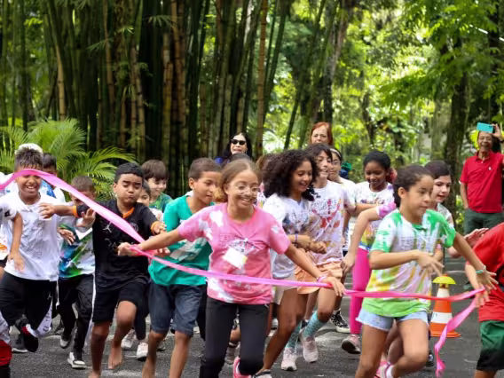 Fonte: site do NEAM.