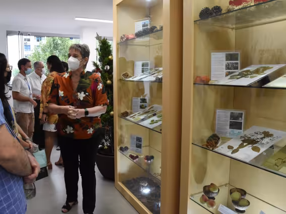 Exposição realizada no prédio da Biologia. Fotógrafo Antônio Albuquerque.