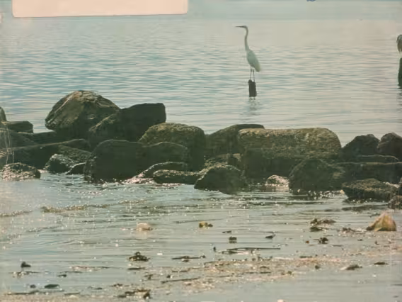 Capa do primeiro número da revista PUC Ciência.