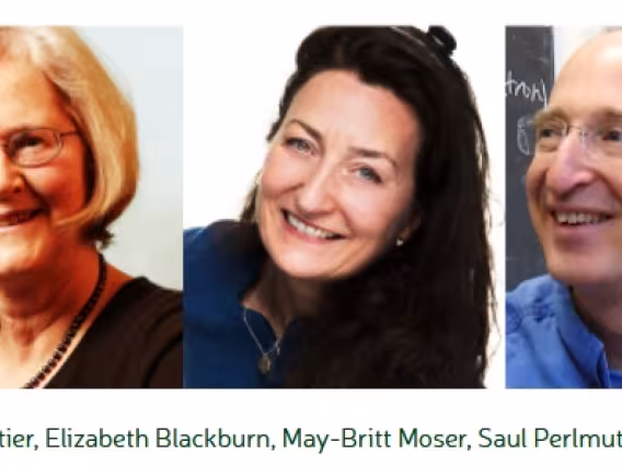 Os cinco laureados com o prêmio Nobel participantes do evento.