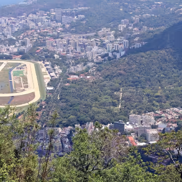Vista do alto do Jardim Botânico. Fotógrafo Sailko. Wikimedia Commons CC BY 3.0