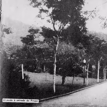 Alameda do Parque da Cidade pouco após sua criação. Revista Carioca, Ano VII, n. 337, 1942.