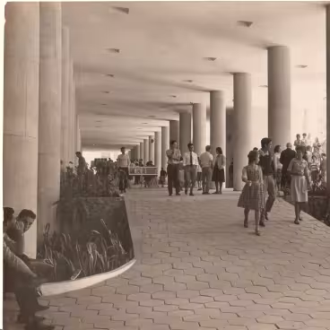 Alunos nos pilotis do Edifício Cardeal Leme. 1960. Fotógrafo desconhecido. Acervo Núcleo de Memória da PUC-Rio.