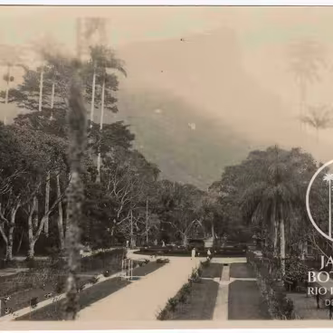 Vista a partir do lago Frei Leandro com o Morro do Corcovado ao fundo. 1932. Fotógrafo Roberto Delforge. Acervo Fotográfico do Instituto de Pesquisas Jardim Botânico do Rio de Janeiro (JBRJ).