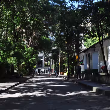 Vista da Alameda Alceu Amoroso Lima que atravessa a Vila dos Diretórios. 2016. Fotógrafo: Antônio Albuquerque. Acervo Núcleo de Memória da PUC-Rio.