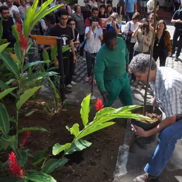 Raul Amaro Nin, ex-aluno do curso de Engenharia Mecânica morto pela ditadura militar em 1971, foi homenageado com o plantio de muda de pau-mulato e instalação de placa no canteiro da casa X. 2014. Fotógrafo: Antônio Albuquerque. Acervo Núcleo de Memória.