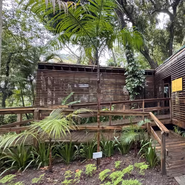 A Casa Comum - Estação de Ecologia Integral e as árvores do bosque da PUC-Rio. 09/10/2025. Fotógrafo: Eduardo Gonçalves. Acervo Núcleo de Memória da PUC-Rio.