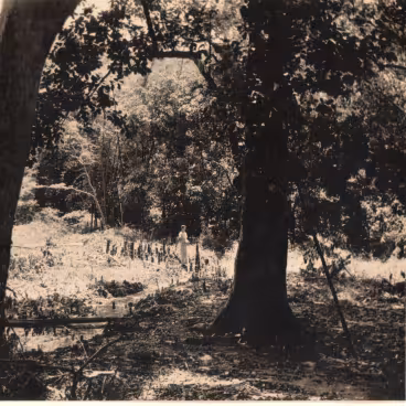 Terreno do campus da Gávea com a vegetação remanescente das chácaras adquiridas pela PUC-Rio, pouco antes do início da construção dos prédios. No centro há uma pessoa ao lado de um pequeno córrego. 1952. Fotógrafo desconhecido. Acervo do Núcleo de Memória da PUC-Rio.