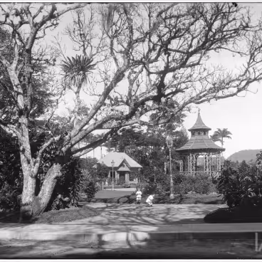 Edificações construídas para melhorar as condições de lazer no Jardim Botânico. c. 1885. Fotógrafo Marc Ferrez. Acervo Instituto Moreira Salles.