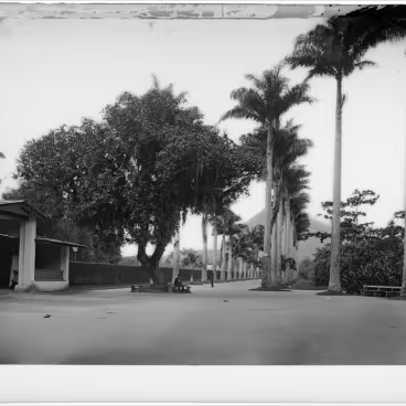 A entrada do Jardim Botânico na década de 1880. Fotógrafo Marc Ferrez. Acervo Instituto Moreira Salles / Brasiliana Fotográfica.