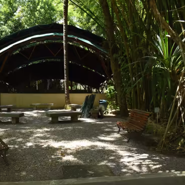 Anfiteatro Junito Brandão. A estrutura da cobertura é toda feita de bambu plantado no campus. 2018. Fotógrafo Antônio Albuquerque. Acervo do Núcleo de Memória da PUC-Rio.