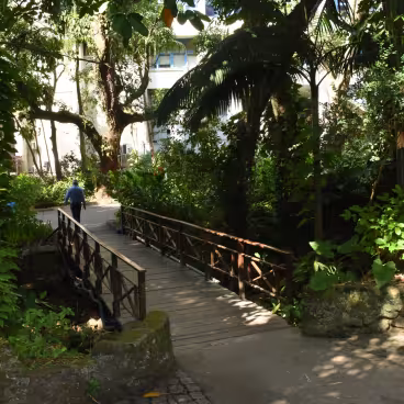 Ponte sobre o Rio Rainha. 2019. Fotógrafo Antônio Albuquerque. Acervo do Núcleo de Memória da PUC-Rio.