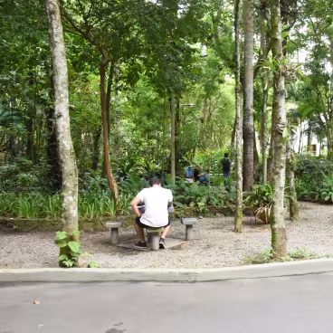 Espaço de convivência no bosque. 2018. Fotógrafo Antônio Albuquerque. Acervo do Núcleo de Memória da PUC-Rio.