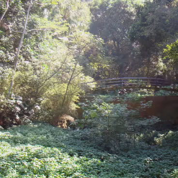 Ponte sobre represa. 2009. Fotógrafo Rodrigo Soldon. Wikimedia Commons.