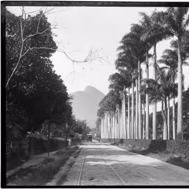 Rua Jardim Botânico, com os trilhos dos bondes. Ao fundo, o Morro Dois irmãos. c. 1880. Fotógrafo Marc Ferrez. Acervo do Instituto Moreira Salles.