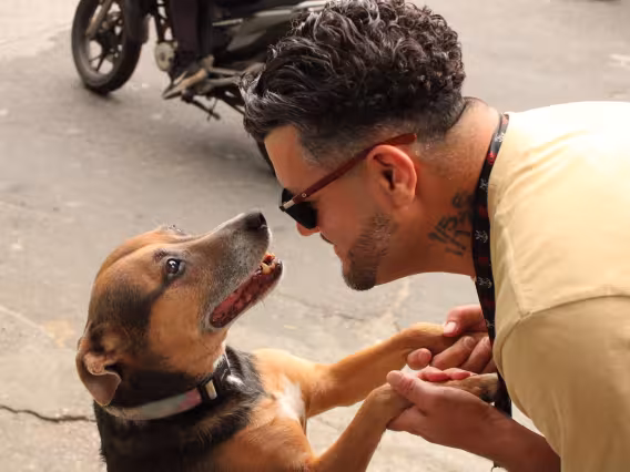Homem e cão na Rocinha.